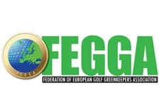 fegga-associates-page